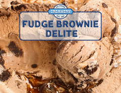 Fudge Brownie Delite Tub